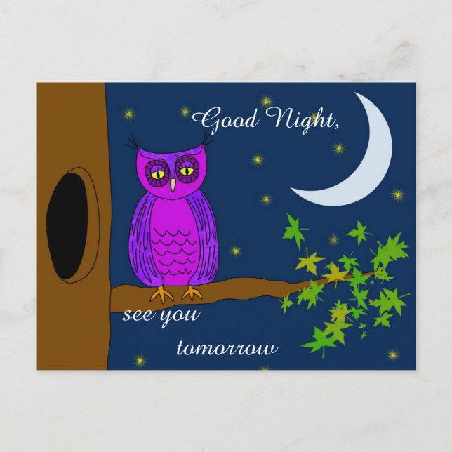 Good Night Owl Message Postcard (Front)