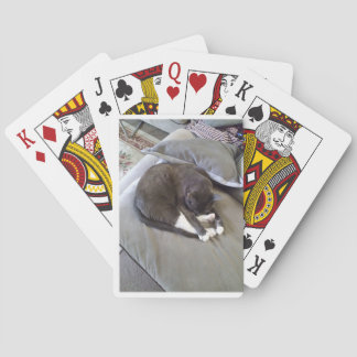 Good Night Sir Playing Cards