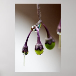 Good To The Last Drip Poster