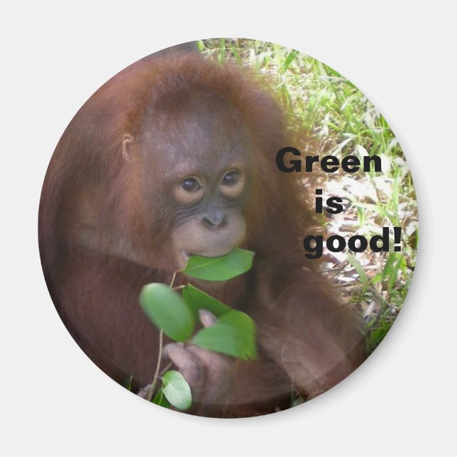 Good Veggie Diet Magnet (Front)