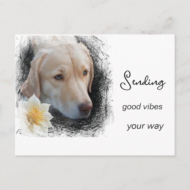 *~ Good Vibes Sad Gold Dog Flower AP61  Postcard (Front)
