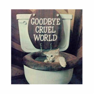 "Goodbye Cruel World" Standing Photo Sculpture