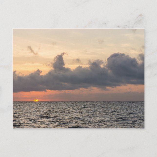 Goodmorning Folly Beach Postcard (Front)