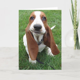 Goofy Basset Hound Greeting Card
