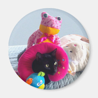 Goofy black cat hiding in stuffed toys. magnet