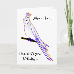 Goofy cockatiel card