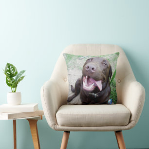 Goofy Delights: Chocolate Brown Labrador Puppy, Cushion