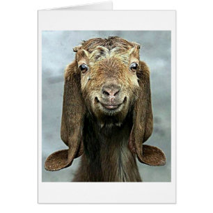 GOOFY GOAT SAYS YOU "50" LOOKS "GOOD ON YOU!"