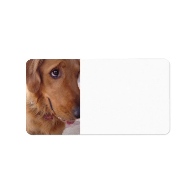 Goofy Golden Label (Front)