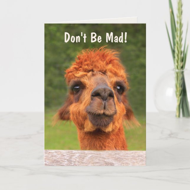 Goofy Llama Birthday Card (Front)