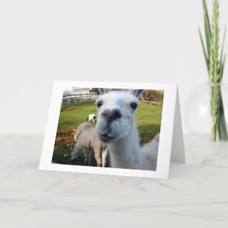 Goofy Llama Blank Greeting Card