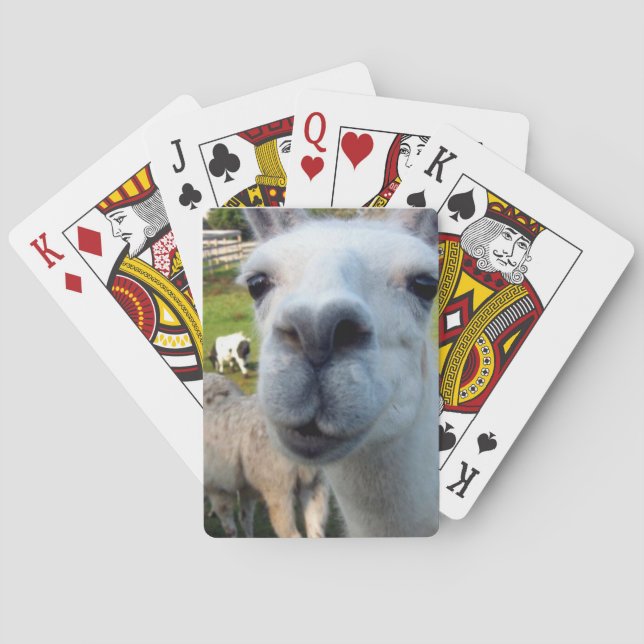 Goofy Llama Playing Cards (Back)