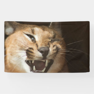 Goofy Lynx Banner