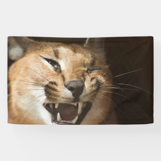 Goofy Lynx Banner (Horizontal)