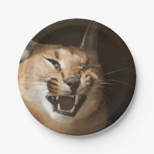 Goofy Lynx Paper Plate