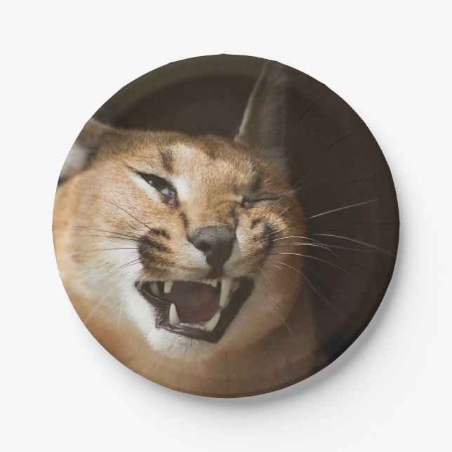Goofy Lynx Paper Plate (Front)