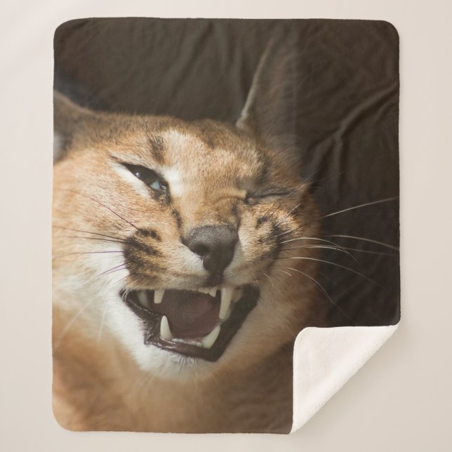 Goofy Lynx Sherpa Blanket (Front)