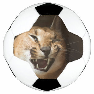 Goofy Lynx Soccer Ball