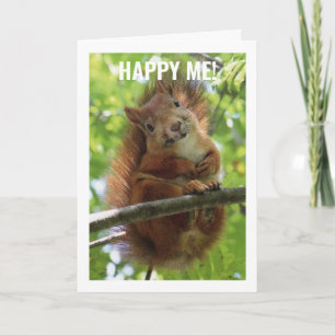 GOOFY SQUIRREL SAYS HAPPY 40th BIRTHDAY! Card
