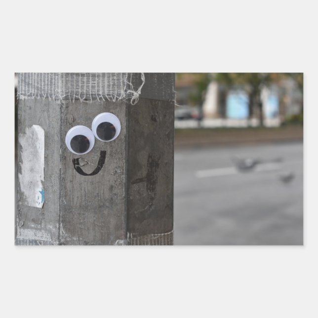 Googly Eyes Eyeballs New York City Photography NYC Rectangular Sticker (Front)