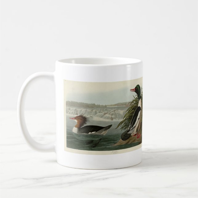 Goosander (Common Merganser) Audubon's Birds Coffee Mug (Left)
