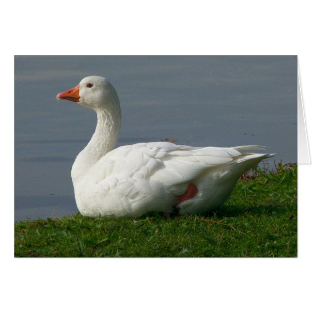 Goose (Front Horizontal)