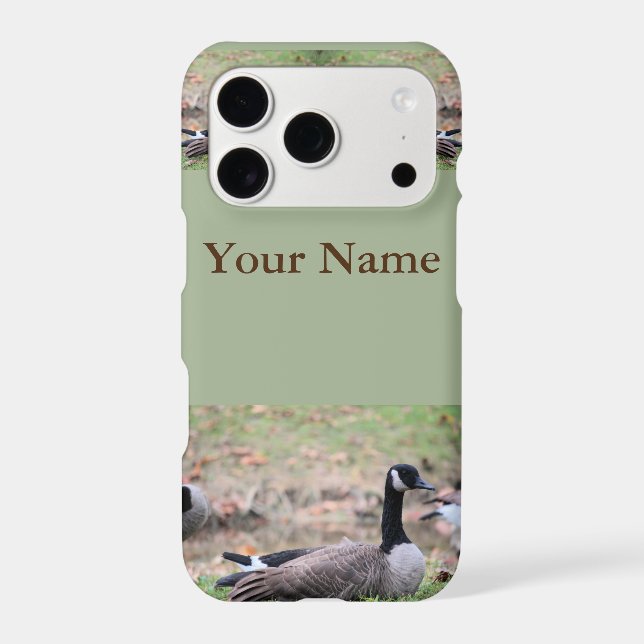 Goose   (Back)