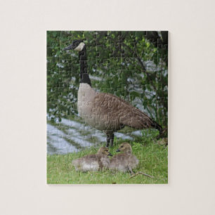 Goose and Goslings Jigsaw Puzzle