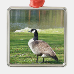 Goose at the waterfront, Wildlife Animals, Nature Metal Tree Decoration