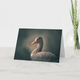 Goose Bird Nature Photo Card