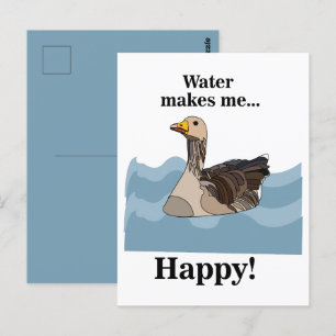 Goose Bird Swimming In Water Birdwatcher Postcard