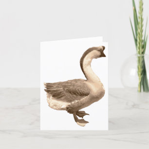 Goose blank card