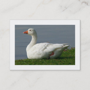 Goose (Bordered) Business Card