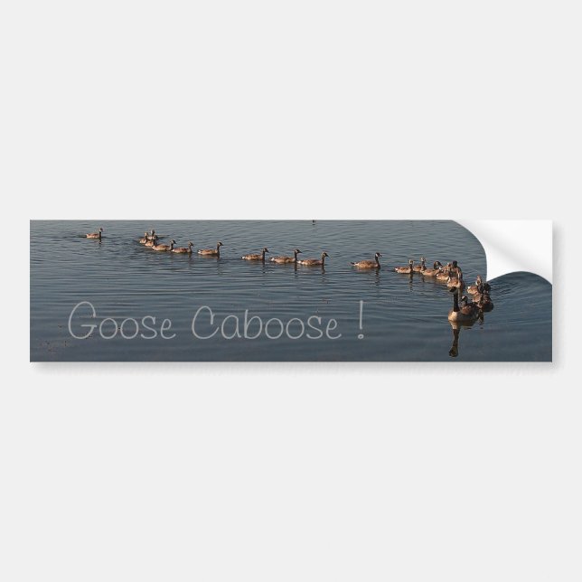 GOOSE CABOOSE by SHARON SHARPE Bumper Sticker (Front)