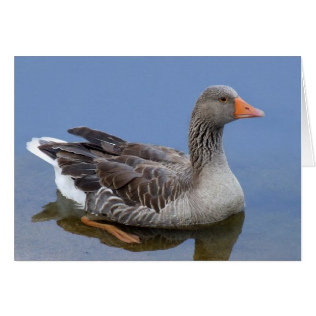 Goose Card (Front Horizontal)