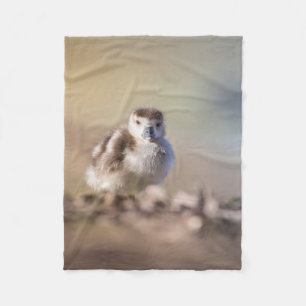 Goose Chick Nature Photo Fleece Blanket