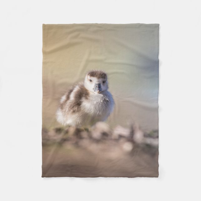 Goose Chick Nature Photo Fleece Blanket (Front)