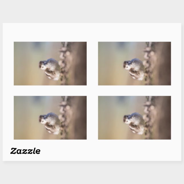 Goose Chick Nature Photo Rectangular Sticker (Sheet)