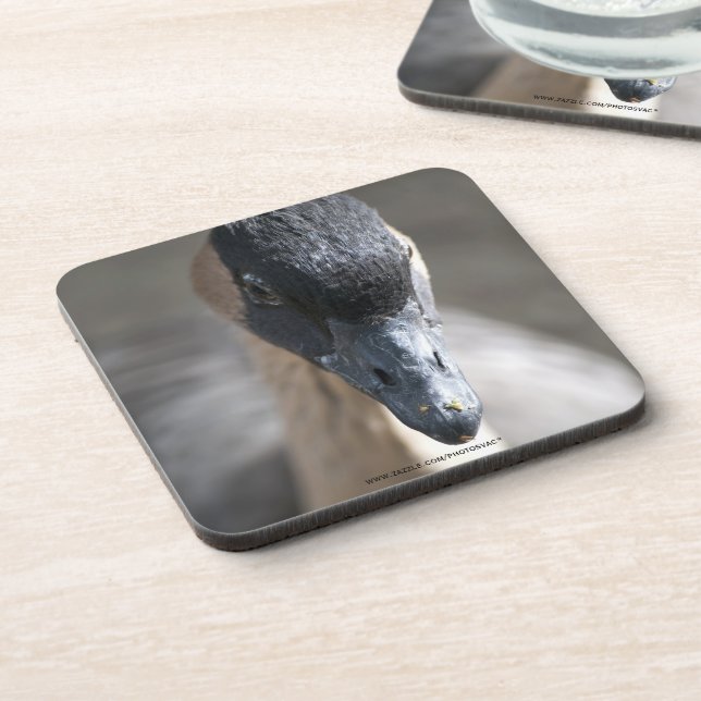 Goose Coaster (Left Side)