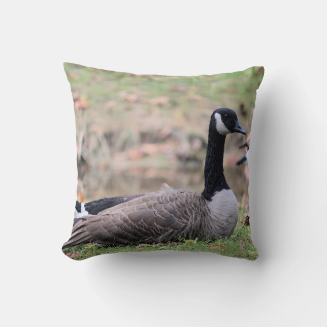 Goose  cushion (Front)