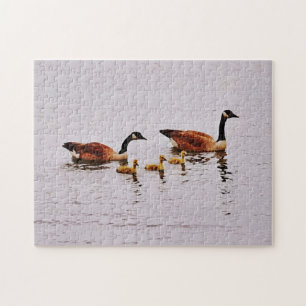 Goose Family of Five Nature Puzzle