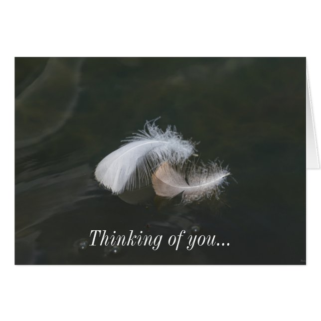 Goose Feathers Floating (Front Horizontal)
