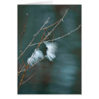 Goose feathers over the blue waters