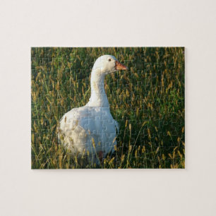Goose in the Grass at Sunset Jigsaw Puzzle