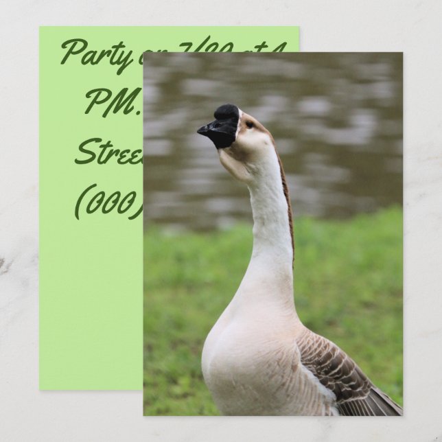 Goose Invitation (Front/Back)