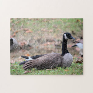 Goose Jigsaw Puzzle