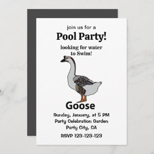 Goose Looking For Water To Swim African Goose Invitation