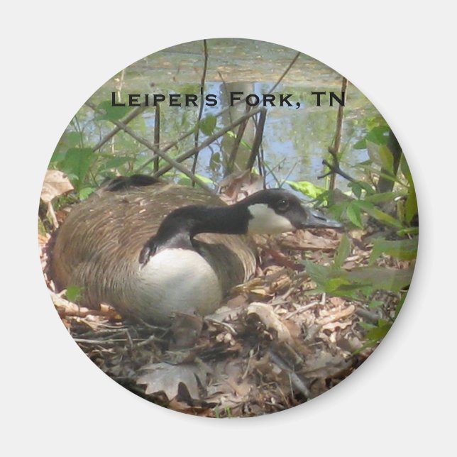 Goose nesting magnet (Front)