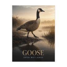 Goose Open Wetlands Wildlife ANIMAL