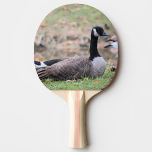 Goose Ping Pong Paddle